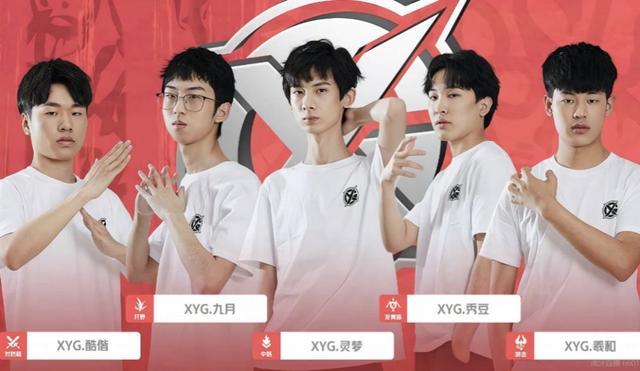 项的代价与
